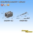 Photo4: [Sumitomo Wiring Systems] 090-type TS non-waterproof 12-pole male-coupler & terminal set (4)