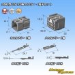 Photo5: [Sumitomo Wiring Systems] 090-type TS non-waterproof 12-pole coupler & terminal set (5)