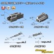 Photo7: [Sumitomo Wiring Systems] 090-type TS non-waterproof 2-pole coupler & terminal set type-2 (7)