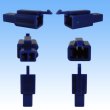 Photo2: [Sumitomo Wiring Systems] 110-type MTW non-waterproof 2-pole male-coupler (blue) (2)