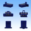 Photo2: [Sumitomo Wiring Systems] 110-type MTW non-waterproof 3-pole female-coupler & terminal set (blue) (2)