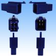 Photo2: [Sumitomo Wiring Systems] 110-type MTW non-waterproof 4-pole male-coupler (blue) (2)