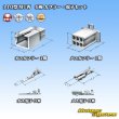 Photo5: [Sumitomo Wiring Systems] 110-type MTW non-waterproof 6-pole coupler & terminal set (5)