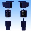 Photo2: [Sumitomo Wiring Systems] 110-type MTW non-waterproof 9-pole male-coupler & terminal set (blue) (2)