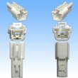 Photo3: [Sumitomo Wiring Systems] 187-type TS non-waterproof 1-pole male-coupler & terminal set (3)