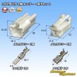 Photo1: [Sumitomo Wiring Systems] 187-type TS non-waterproof 1-pole coupler & terminal set (1)