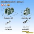 Photo5: [Sumitomo Wiring Systems] 250-type ETN non-waterproof 3-pole coupler & terminal set (5)