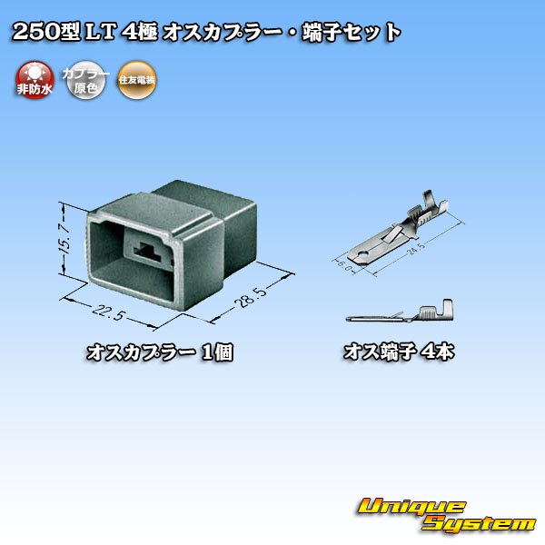 Photo4: [Sumitomo Wiring Systems] 250-type LT non-waterproof 4-pole male-coupler & terminal set (4)