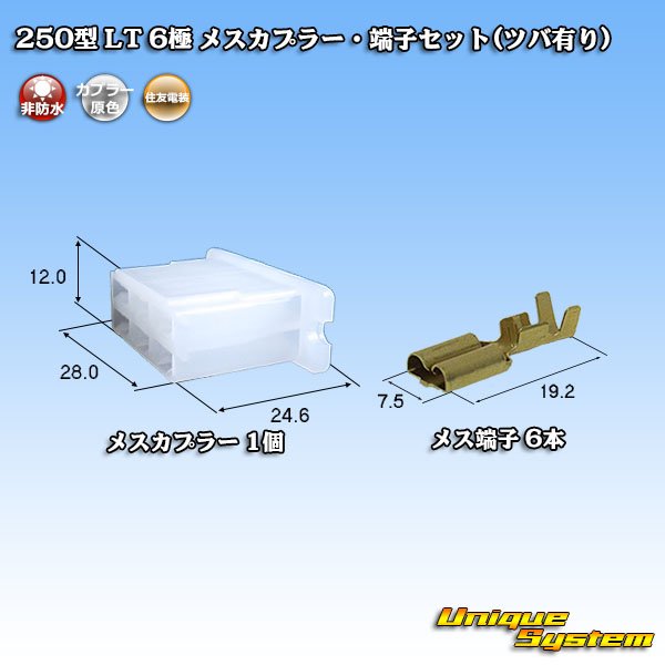 Photo1: [Sumitomo Wiring Systems] 250-type LT non-waterproof 6-pole female-coupler & terminal set (with brim) (1)