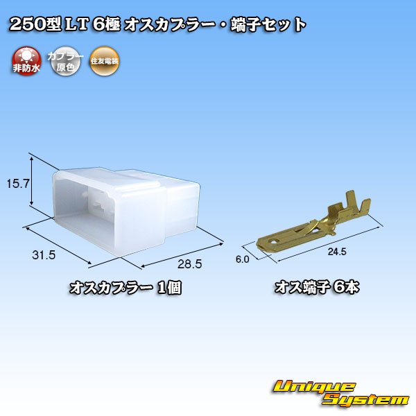 Photo1: [Sumitomo Wiring Systems] 250-type LT non-waterproof 6-pole male-coupler & terminal set (1)