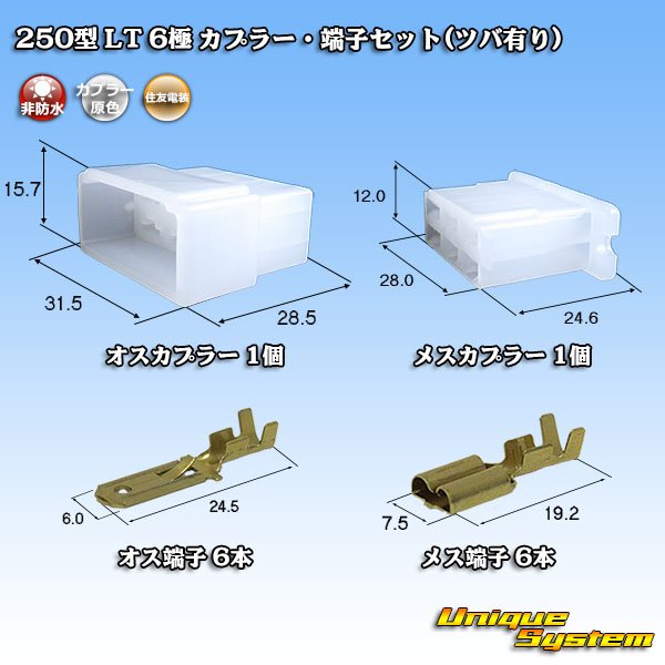 Photo1: [Sumitomo Wiring Systems] 250-type LT non-waterproof 6-pole coupler & terminal set (with brim) (1)