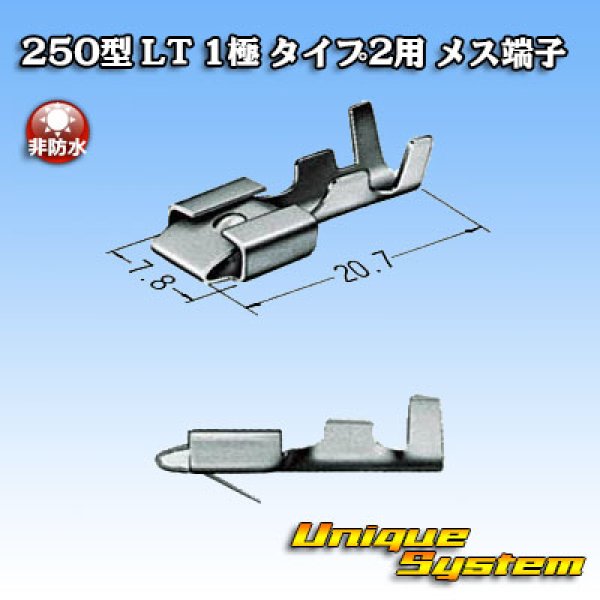 Photo3: [Sumitomo Wiring Systems] 250-type LT non-waterproof 1-pole type-2 non-waterproof female-terminal (3)