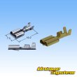 Photo3: [Sumitomo Wiring Systems] 250-type LT non-waterproof 1-pole coupler & terminal set type-1 (3)