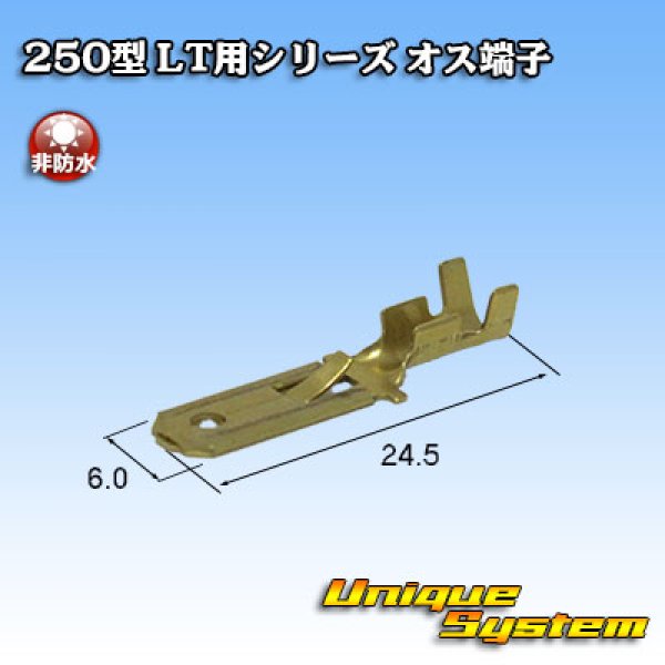 Photo2: [Sumitomo Wiring Systems] 250-type LT series non-waterproof male-terminal (2)