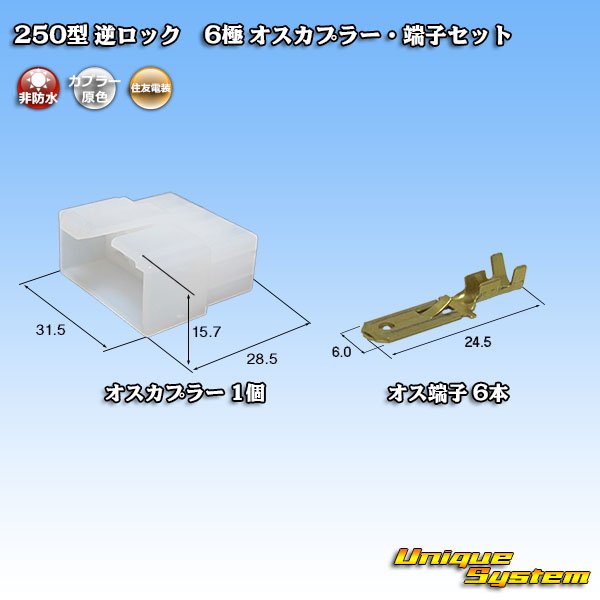 Photo1: [Sumitomo Wiring Systems] 250-type reverse-lock non-waterproof 6-pole male-coupler & terminal set (1)