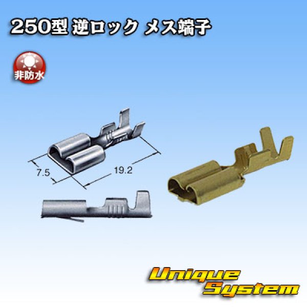 Photo1: [Sumitomo Wiring Systems] 250-type reverse-lock non-waterproof female-terminal (1)