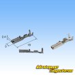 Photo7: [Sumitomo Wiring Systems] 090-type DL waterproof 4-pole coupler & terminal set (device direct attachment type) (male-side / not made by Sumitomo) (7)