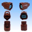 Photo2: [Sumitomo Wiring Systems] 090-type HX waterproof 2-pole female-coupler & terminal set type-2 (brown) with retainer (2)
