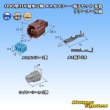 Photo5: [Sumitomo Wiring Systems] 090-type HX waterproof 2-pole female-coupler & terminal set type-2 (brown) with retainer (5)