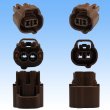 Photo3: [Sumitomo Wiring Systems] 090-type MT waterproof 2-pole female-coupler & terminal set type-4 (brown) (3)