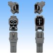 Photo3: [Sumitomo Wiring Systems] 090-type TS waterproof 4-pole male-coupler type-5 (3)