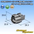 Photo4: [Sumitomo Wiring Systems] 090-type 62 series type-E waterproof 2-pole female-coupler with retainer (P5) type-3 (green) (4)