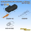 Photo6: [Mitsubishi Cable] (current [Furukawa Electric]) 090-type NMWP II waterproof 2-pole male-coupler & terminal set with retainer (6)