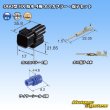 Photo5: [Sumitomo Wiring Systems] 060-type HX waterproof 4-pole male-coupler & terminal set (5)