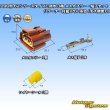 Photo1: [Sumitomo Wiring Systems] 090-type 62 series type-E waterproof 3-pole female-coupler & terminal set with retainer (P6) (brown) (no male side) (1)