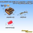 Photo1: [Sumitomo Wiring Systems] 090-type 62 series type-E waterproof 4-pole female-coupler & terminal set with retainer (P5) (brown) (1)