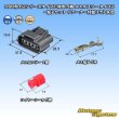 Photo5: [Sumitomo Wiring Systems] 090-type 62 series type-E waterproof 5-pole female-coupler type-2 & terminal set with retainer (P5) (gray) (5)