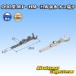 Photo4: [Sumitomo Wiring Systems] 090-type MT waterproof 2-pole male-coupler & terminal set (black) type-3 (armlock) (4)