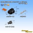 Photo5: [Sumitomo Wiring Systems] 090-type RS waterproof 6-pole female-coupler & terminal set (black) with retainer (5)