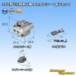 Photo6: [Sumitomo Wiring Systems] 187-type TS waterproof 2-pole female-coupler & terminal set (6)