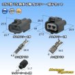 Photo9: [Sumitomo Wiring Systems] 187-type TS waterproof 2-pole coupler & terminal set (9)