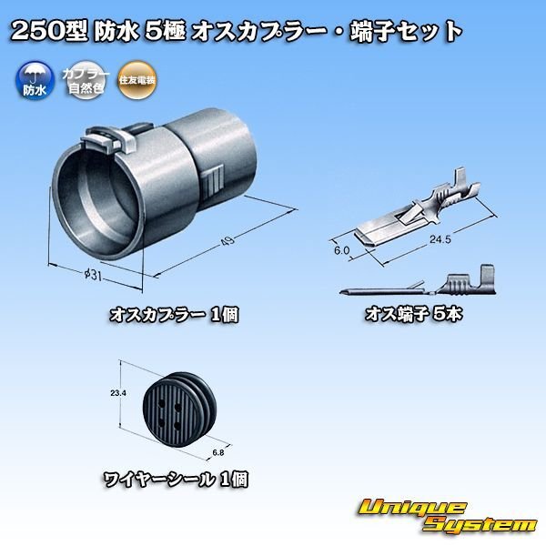 Photo1: [Sumitomo Wiring Systems] 250-type waterproof 5-pole male-coupler & terminal set (1)