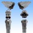 Photo2: [Yazaki Corporation] 090-type II series waterproof 2-pole male-coupler type-2 (2)