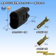 Photo1: [Yazaki Corporation] waterproof bullet-terminal 2-pole male-coupler & terminal set (1)
