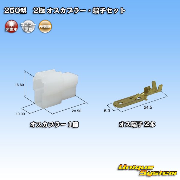 Photo1: [Yazaki Corporation] 250-type CN (A) non-waterproof 2-pole male-coupler & terminal set (1)