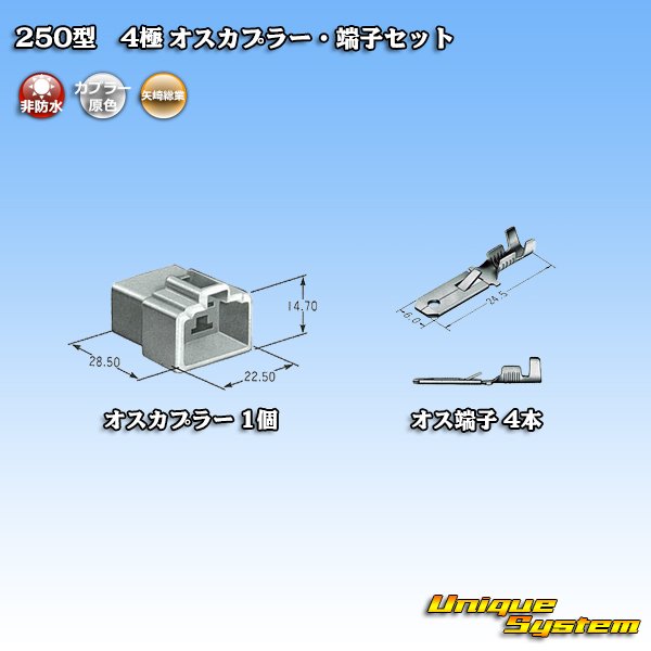 Photo4: [Yazaki Corporation] 250-type CN (A) non-waterproof 4-pole male-coupler & terminal set (4)