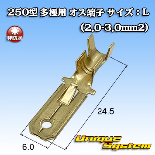 Photo1: [Yazaki Corporation] 250-type series non-waterproof all-pole male-terminal size:L (2.0-3.0mm2) (1)