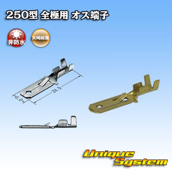 Photo1: [Yazaki Corporation] 250-type series non-waterproof all-pole male-terminal (1)