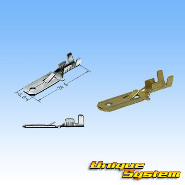 Photo3: [Yazaki Corporation] 250-type CN (A) non-waterproof 2-pole male-coupler & terminal set (3)