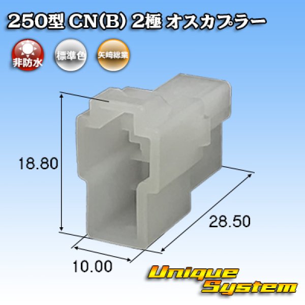 Photo1: [Yazaki Corporation] 250-type CN (B) non-waterproof 2-pole male-coupler (1)