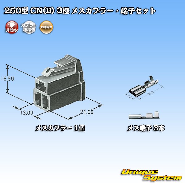 Photo5: [Yazaki Corporation] 250-type CN (B) non-waterproof 3-pole female-coupler & terminal set (5)
