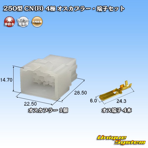 Photo1: [Yazaki Corporation] 250-type CN (B) non-waterproof 4-pole male-coupler & terminal set (1)