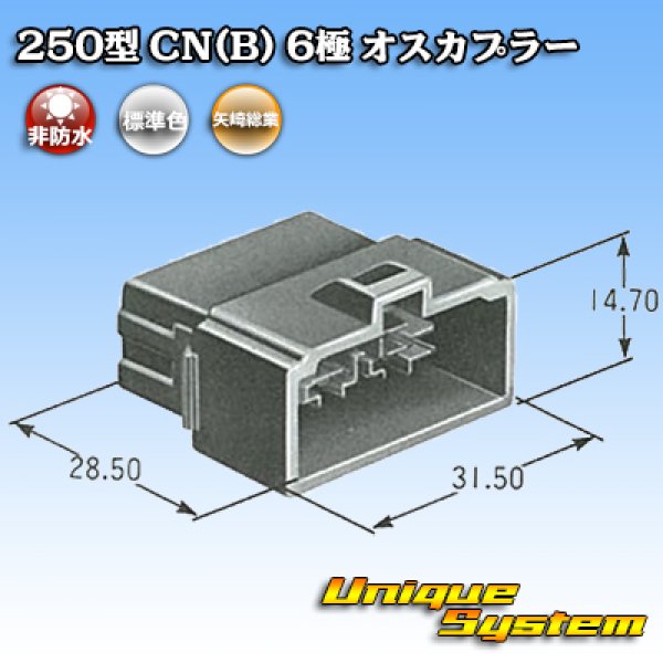 Photo4: [Yazaki Corporation] 250-type CN (B) non-waterproof 6-pole male-coupler (4)