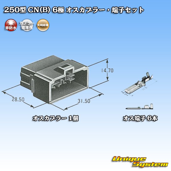 Photo5: [Yazaki Corporation] 250-type CN (B) non-waterproof 6-pole male-coupler & terminal set (5)