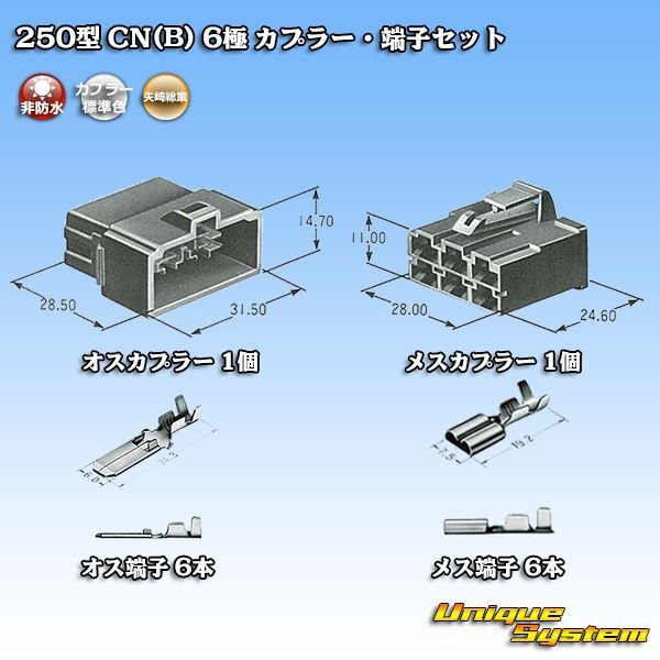 Photo7: [Yazaki Corporation] 250-type CN (B) non-waterproof 6-pole coupler & terminal set (7)