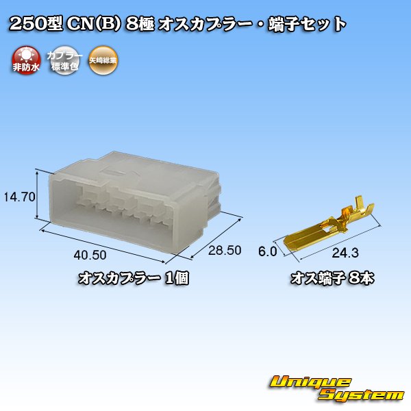 Photo1: [Yazaki Corporation] 250-type CN (B) non-waterproof 8-pole male-coupler & terminal set (1)